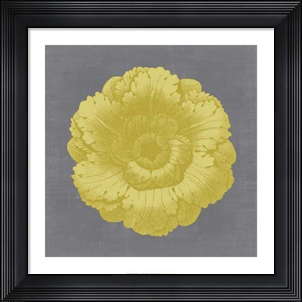 Framed Gilded Rosette VI Print
