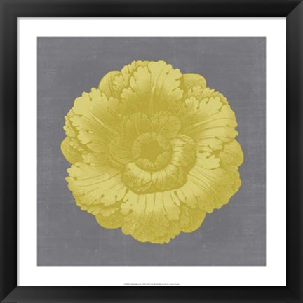 Framed Gilded Rosette VI Print