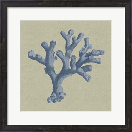Framed Chambray Coral II Print