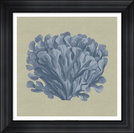 Framed Chambray Coral III Print
