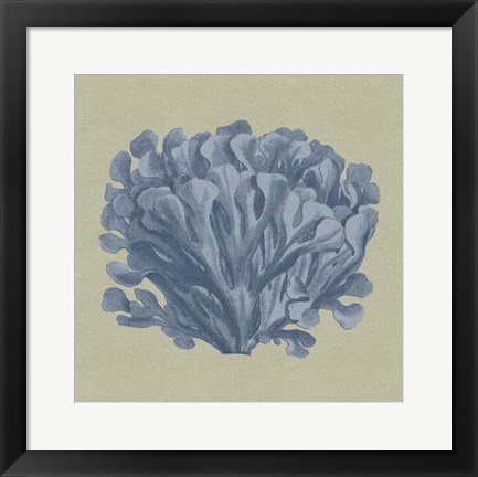 Framed Chambray Coral III Print