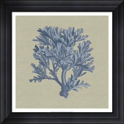 Framed Chambray Coral IV Print