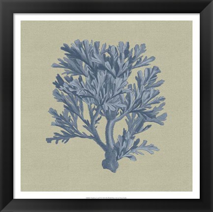 Framed Chambray Coral IV Print