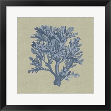 Framed Chambray Coral IV Print