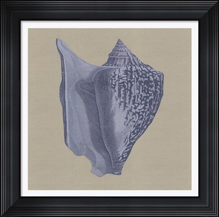 Framed Chambray Shells I Print