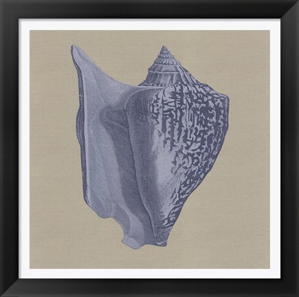 Framed Chambray Shells I Print