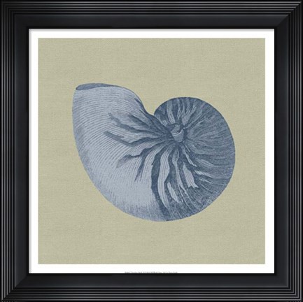 Framed Chambray Shells II Print