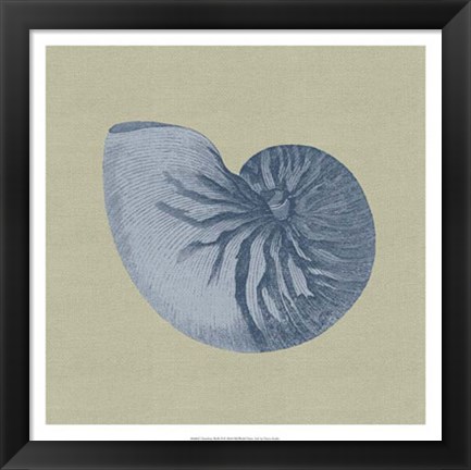 Framed Chambray Shells II Print