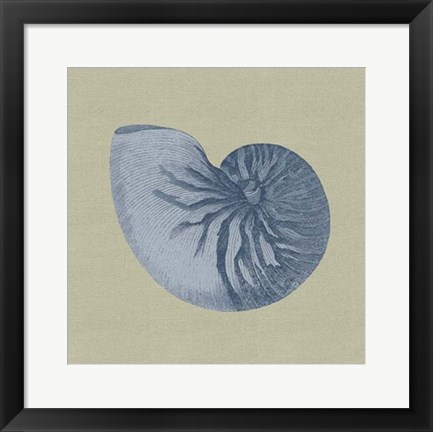 Framed Chambray Shells II Print