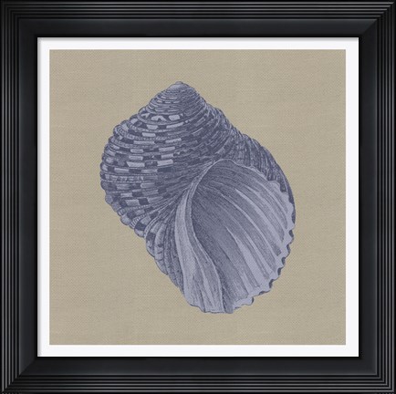 Framed Chambray Shells III Print
