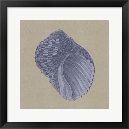 Framed Chambray Shells III Print