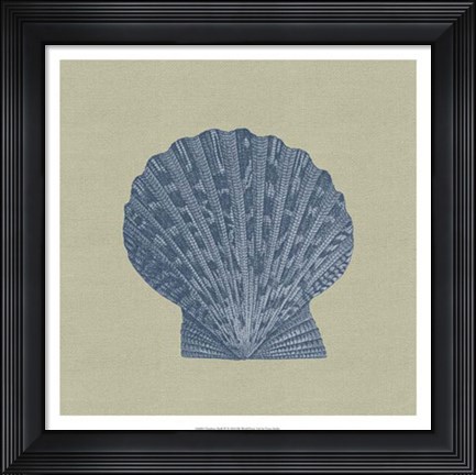 Framed Chambray Shells IV Print