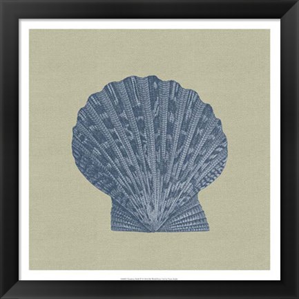 Framed Chambray Shells IV Print