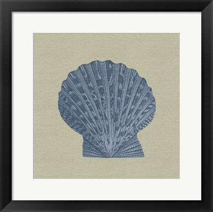 Framed Chambray Shells IV Print