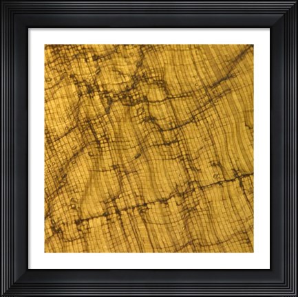 Framed Nature&#39;s Textures I Print