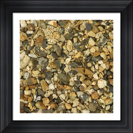 Framed Nature&#39;s Textures II Print