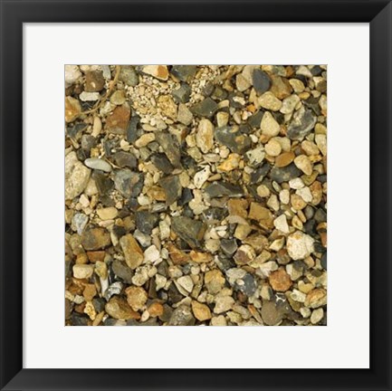 Framed Nature&#39;s Textures II Print