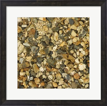 Framed Nature&#39;s Textures II Print