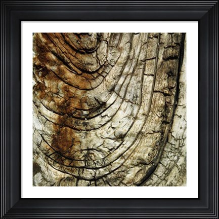 Framed Nature&#39;s Textures III Print