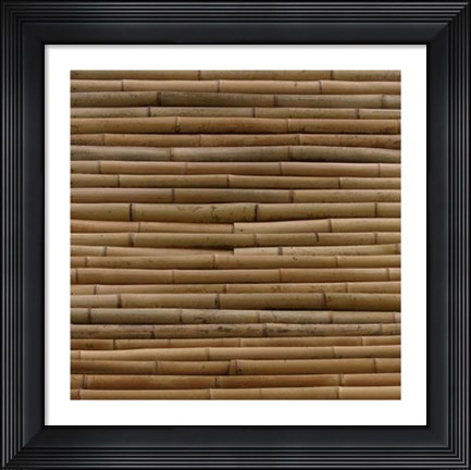 Framed Nature&#39;s Textures IV Print