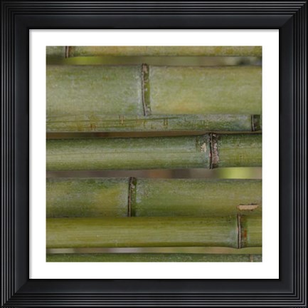Framed Nature&#39;s Textures V Print