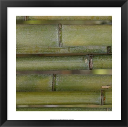 Framed Nature&#39;s Textures V Print