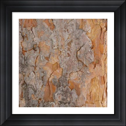 Framed Nature&#39;s Textures VII Print