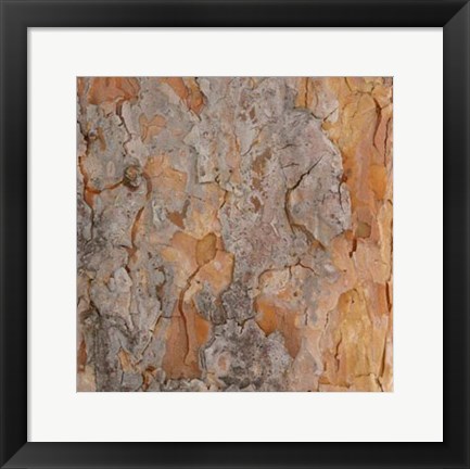 Framed Nature&#39;s Textures VII Print
