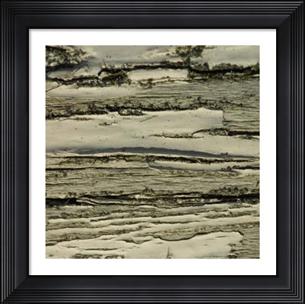 Framed Nature&#39;s Textures VIII Print