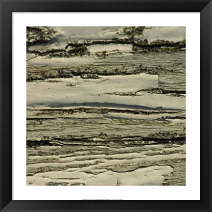 Framed Nature&#39;s Textures VIII Print