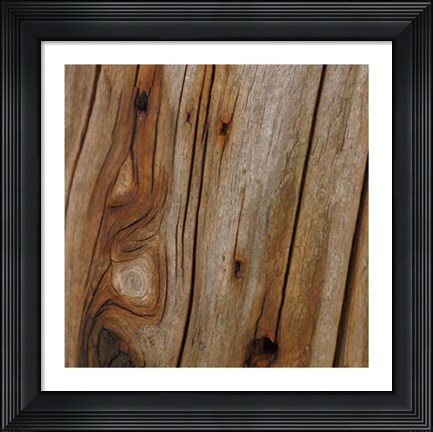 Framed Nature&#39;s Textures IX Print
