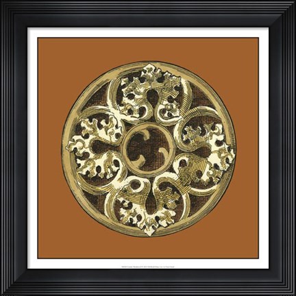 Framed Graphic Medallion II Print