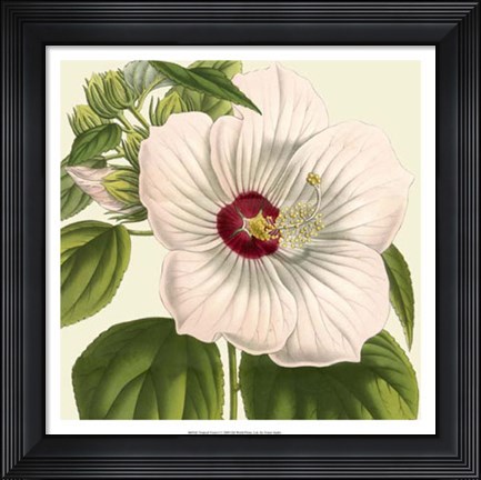 Framed Tropical Vision I Print