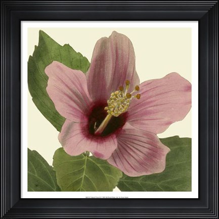 Framed Tropical Vision II Print