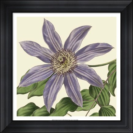 Framed Tropical Vision III Print