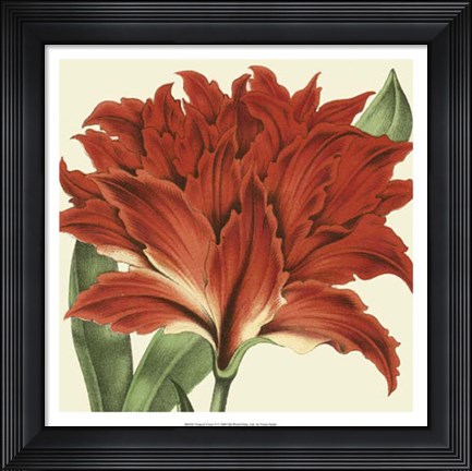 Framed Tropical Vision V Print