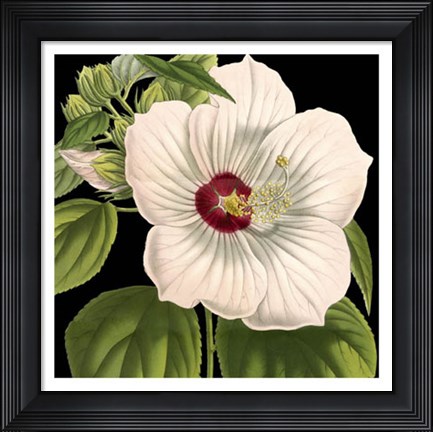 Framed Dramatic Tropical Vision I Print