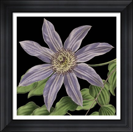 Framed Dramatic Tropical Vision III Print