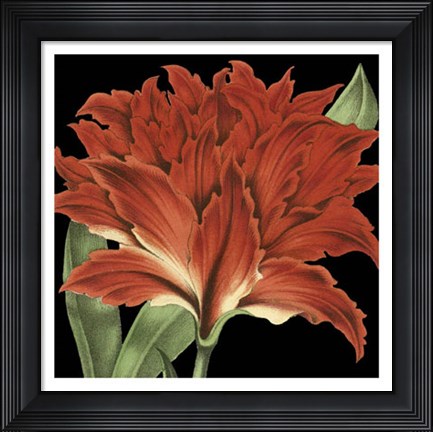 Framed Dramatic Tropical Vision V Print