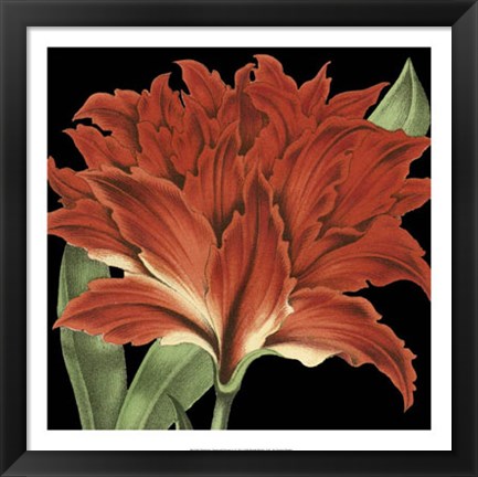 Framed Dramatic Tropical Vision V Print