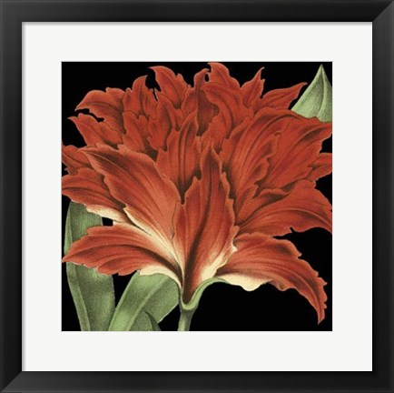 Framed Dramatic Tropical Vision V Print