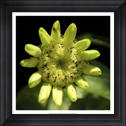 Framed Summer Evening IV Print