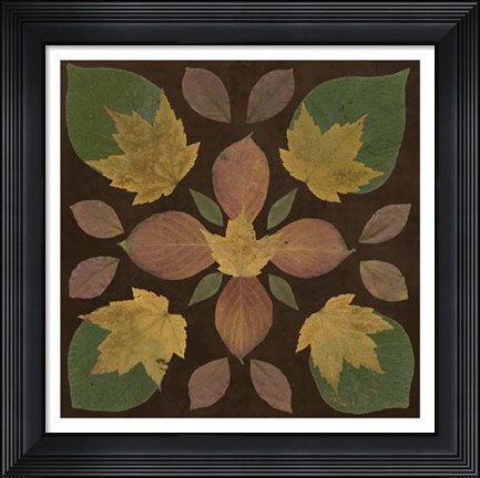 Framed Kaleidoscope Leaves II Print