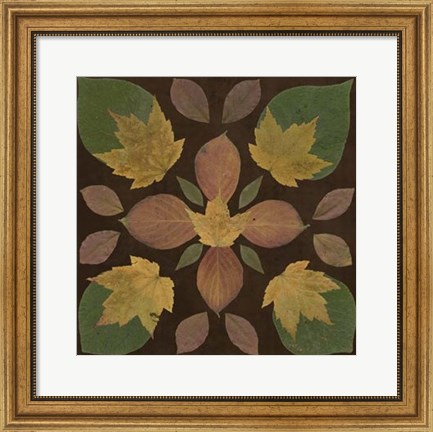 Framed Kaleidoscope Leaves II Print