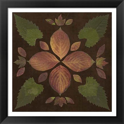 Framed Kaleidoscope Leaves III Print