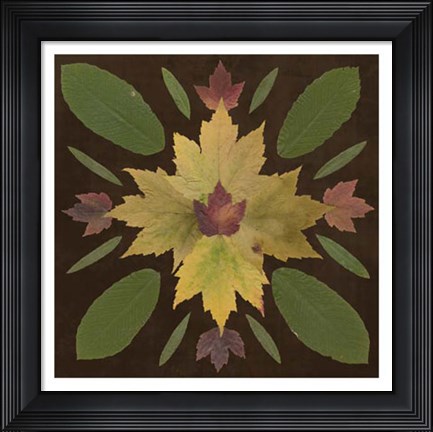 Framed Kaleidoscope Leaves IV Print