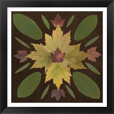 Framed Kaleidoscope Leaves IV Print