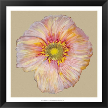 Framed Poppy Blossom I Print
