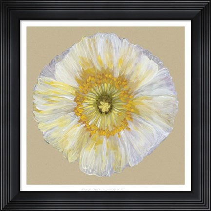 Framed Poppy Blossom II Print