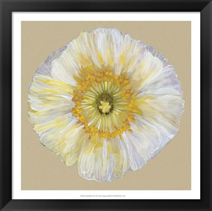 Framed Poppy Blossom II Print
